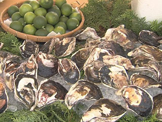 へべすや細島岩がき