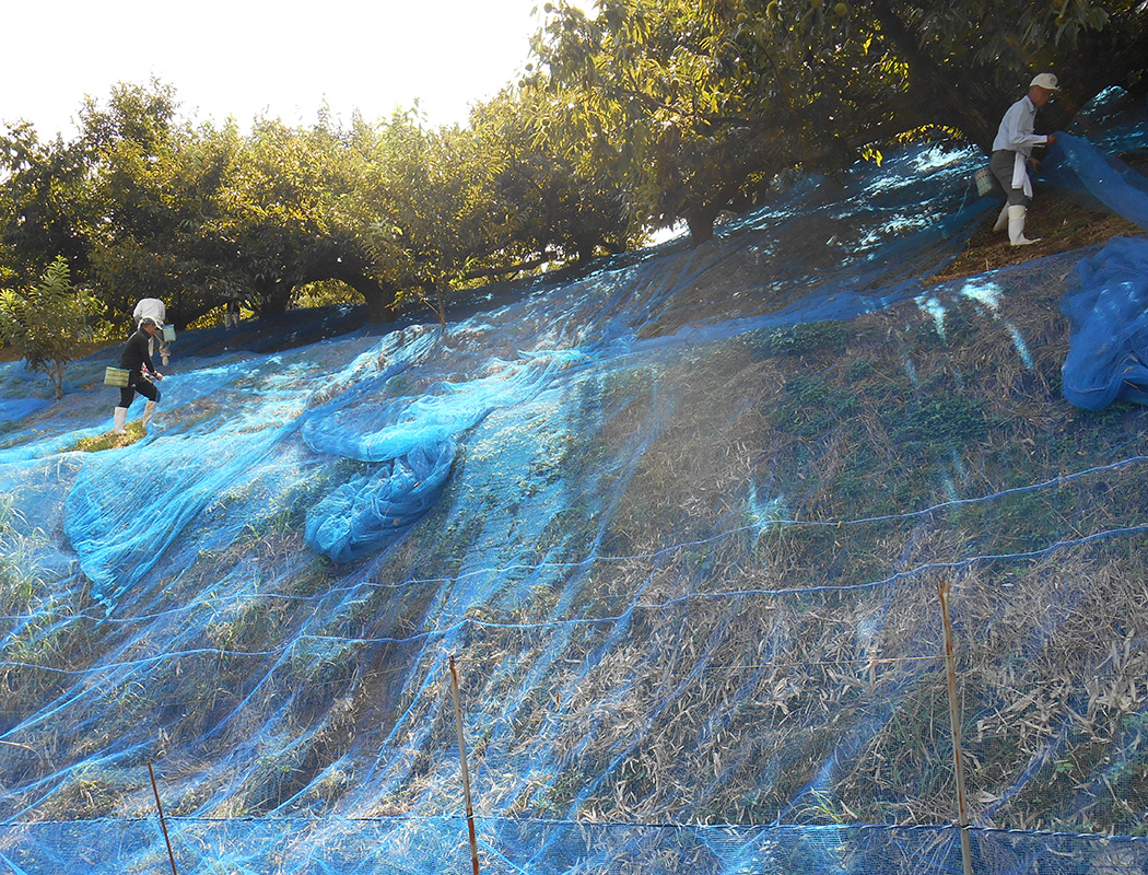 Free HTML5 Bootstrap template