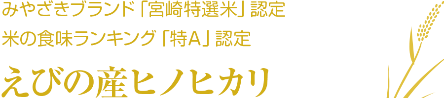 （祝）ブランド米認定・食味ランキング特Ａ認定「えびの産ヒノヒカリ