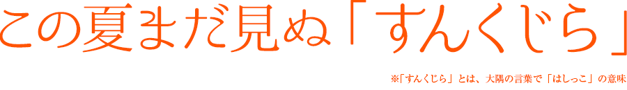 この夏まだ見ぬ「すんくじら」