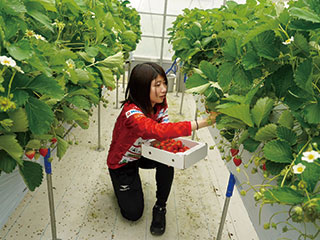 地域おこし協力隊