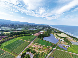 農業が盛んな町